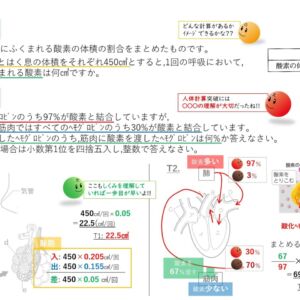 呼吸器官・循環器官の計算 ～解き方 編