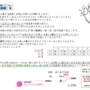 循環器官 ～演習 編