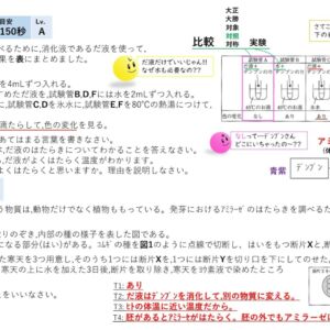 消化器官 ～アミラーゼ実験 編
