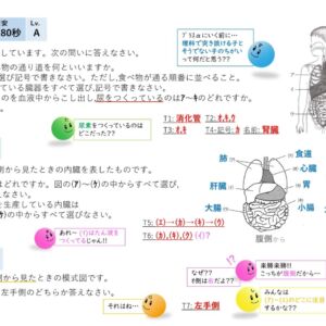 消化器官 ～演習 編