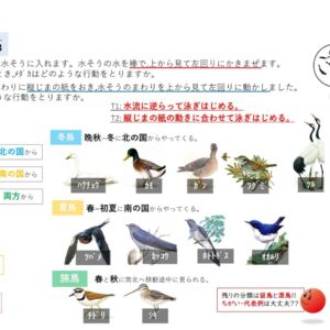 動物 〜動物の習性 編