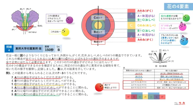 動画視聴室 - 中学受験のミカタ|理科専門オンラインサービス
